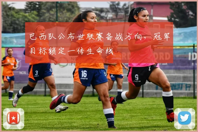 巴西队公布世联赛备战方向，冠军目标锁定一传生命线 - Kaiyun资讯