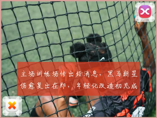 主场训练场传出好消息,黑马新星伤愈复出在即,年轻化改造初见成效 - Kaiyun推荐